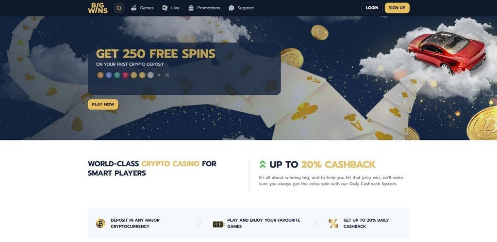 BigWins Gambling Establishment Testimonial 2025 - 100% as much as 250 USDT